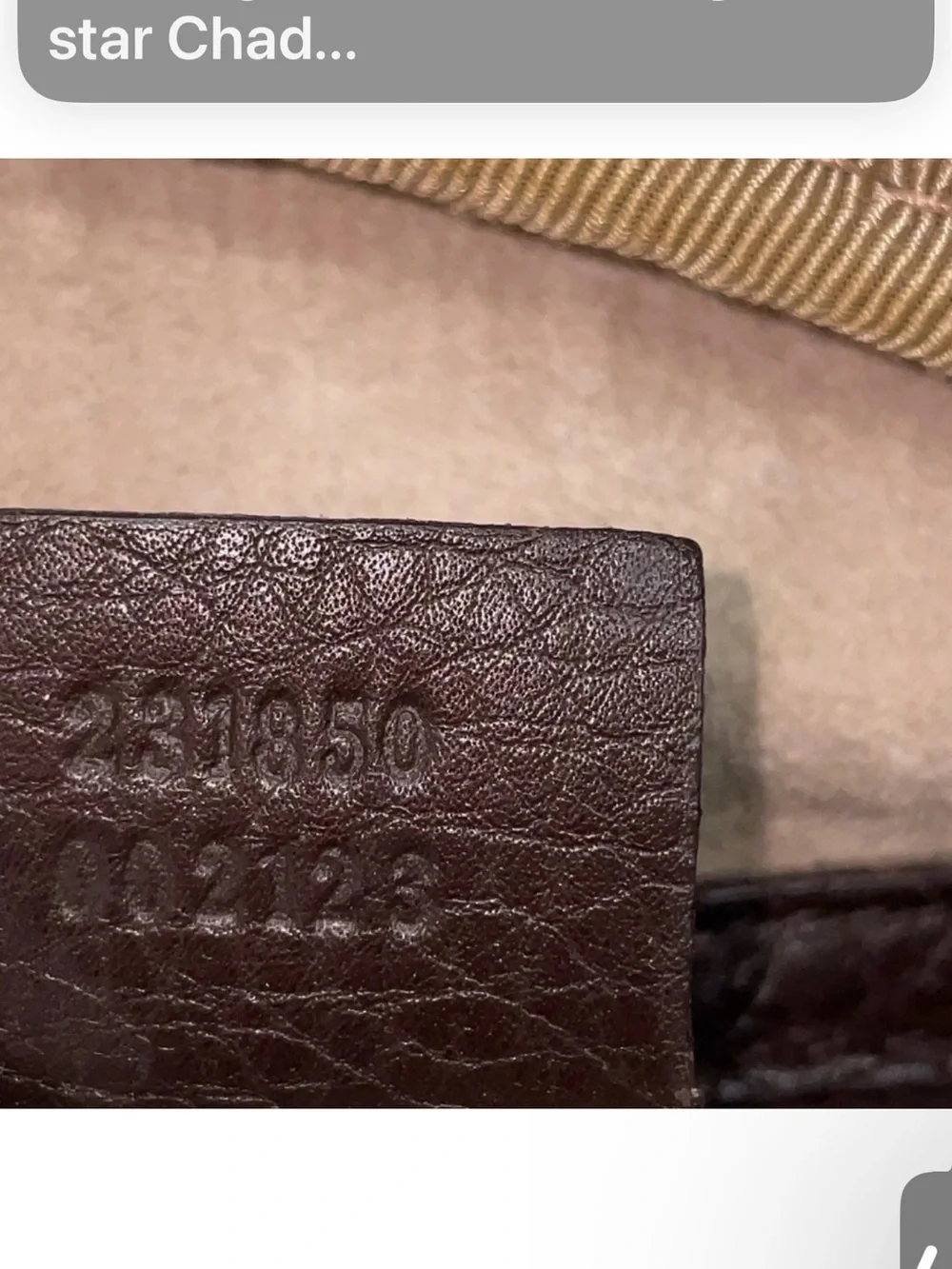 Gucci authentic sleek